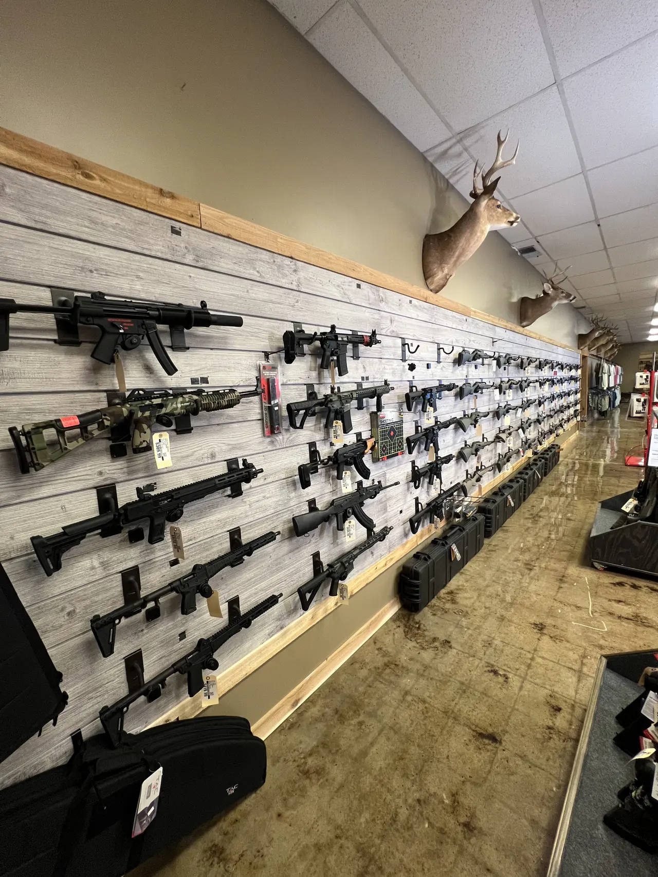 Shotguns